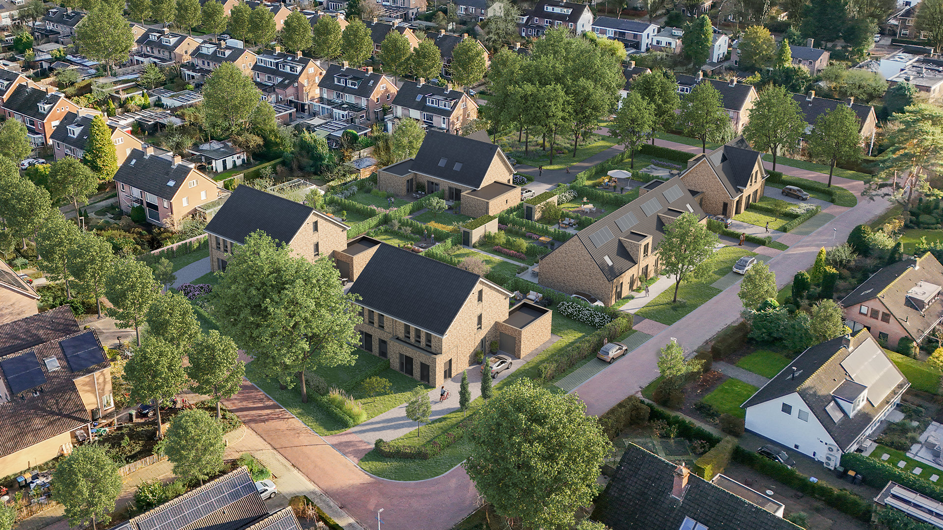 Vogelvlucht